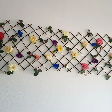 S&k Dotro * كوستِنيست